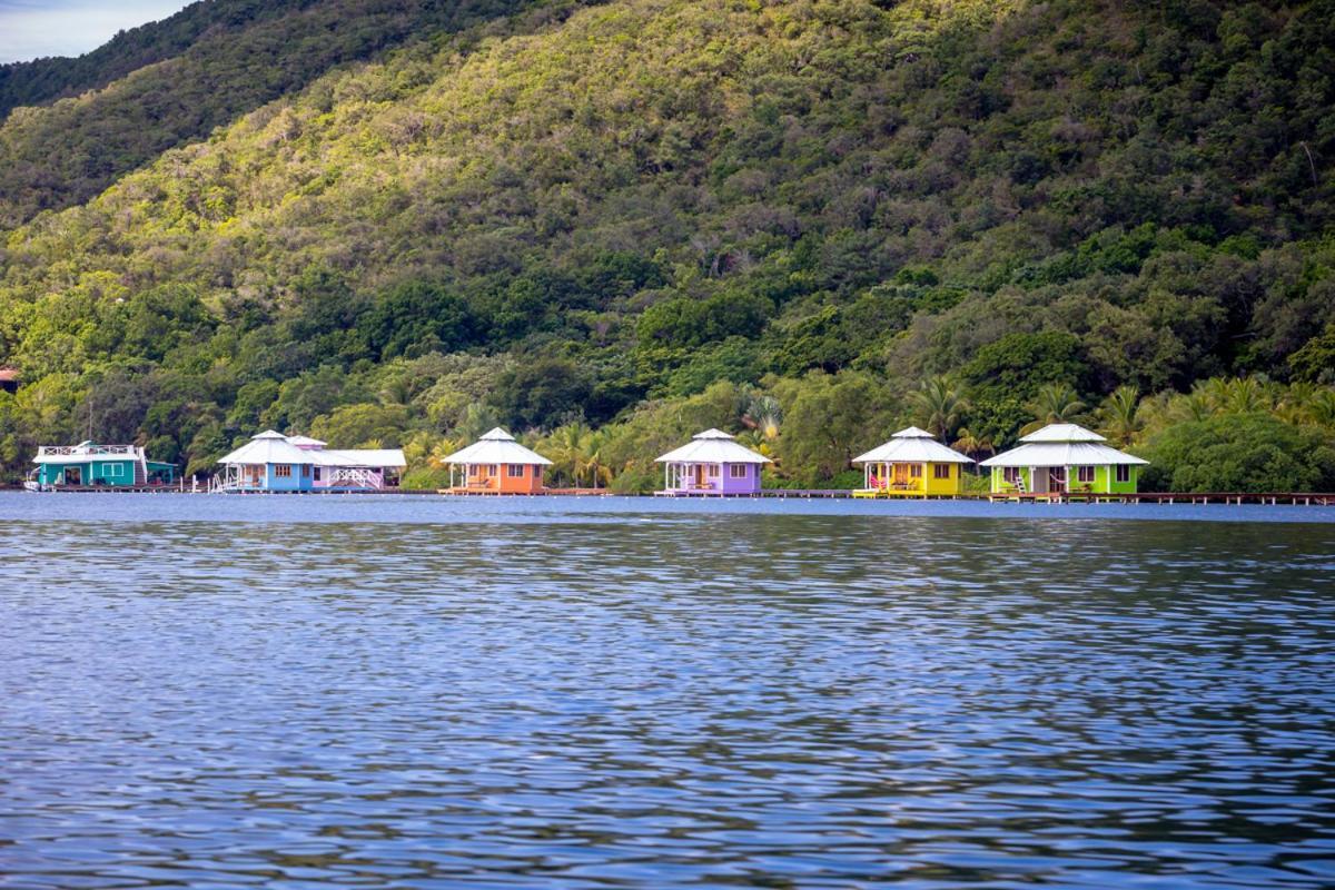 Mango Creek Lodge Port Royal Dış mekan fotoğraf