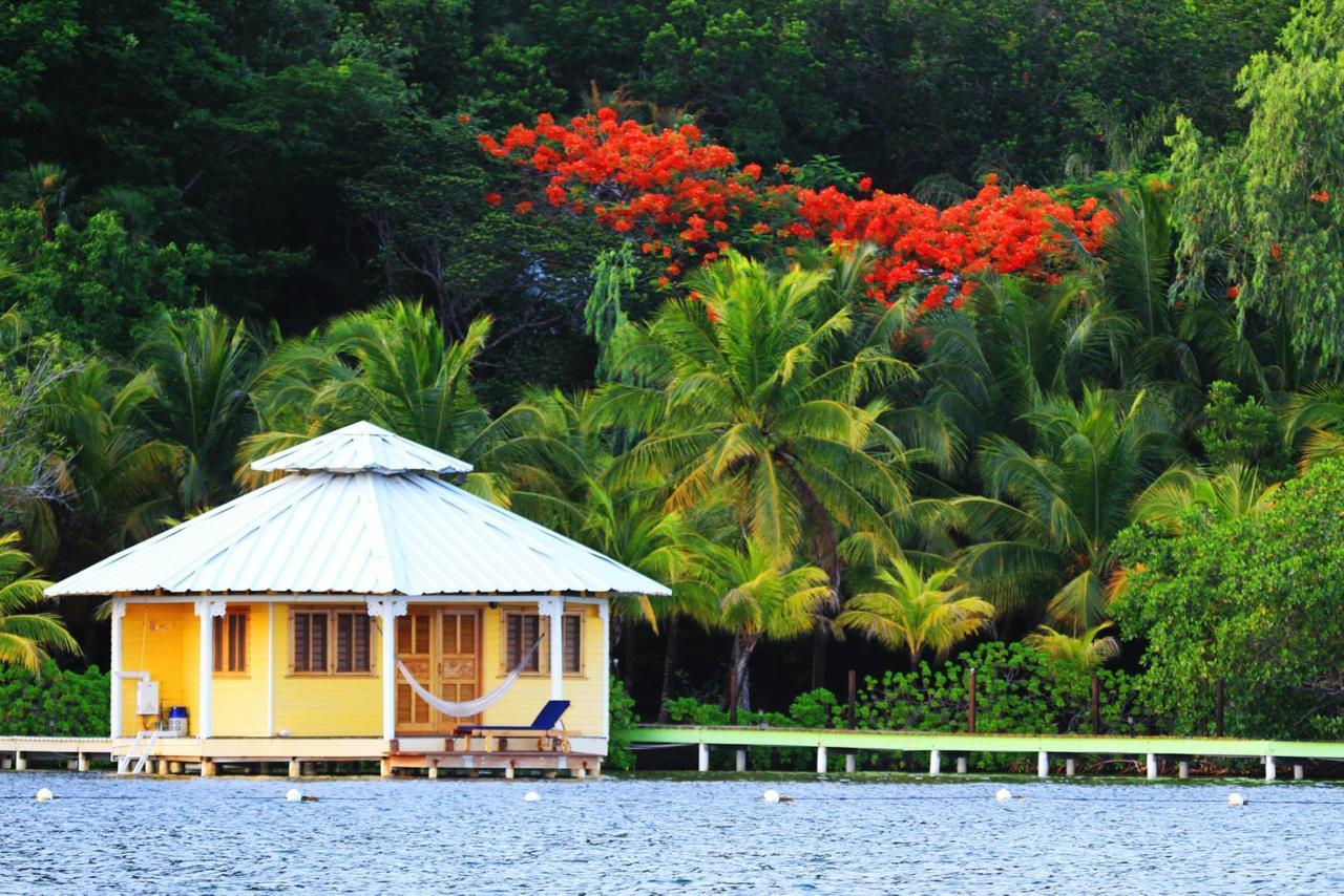 Mango Creek Lodge Port Royal Dış mekan fotoğraf