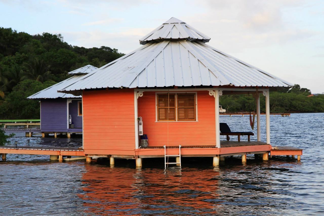 Mango Creek Lodge Port Royal Dış mekan fotoğraf