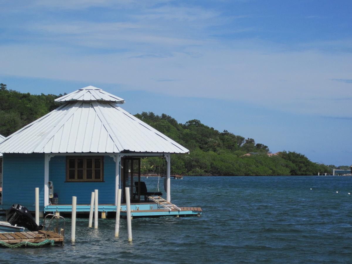 Mango Creek Lodge Port Royal Dış mekan fotoğraf