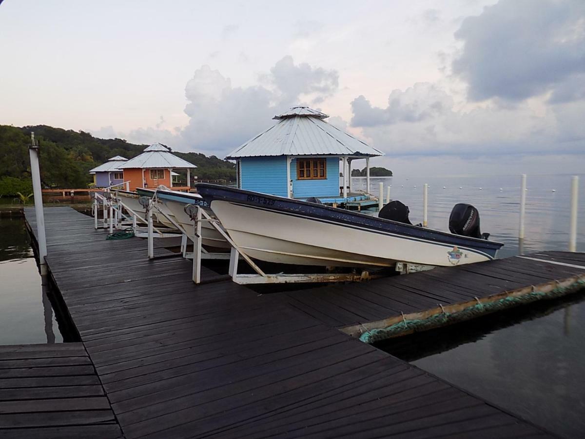 Mango Creek Lodge Port Royal Dış mekan fotoğraf
