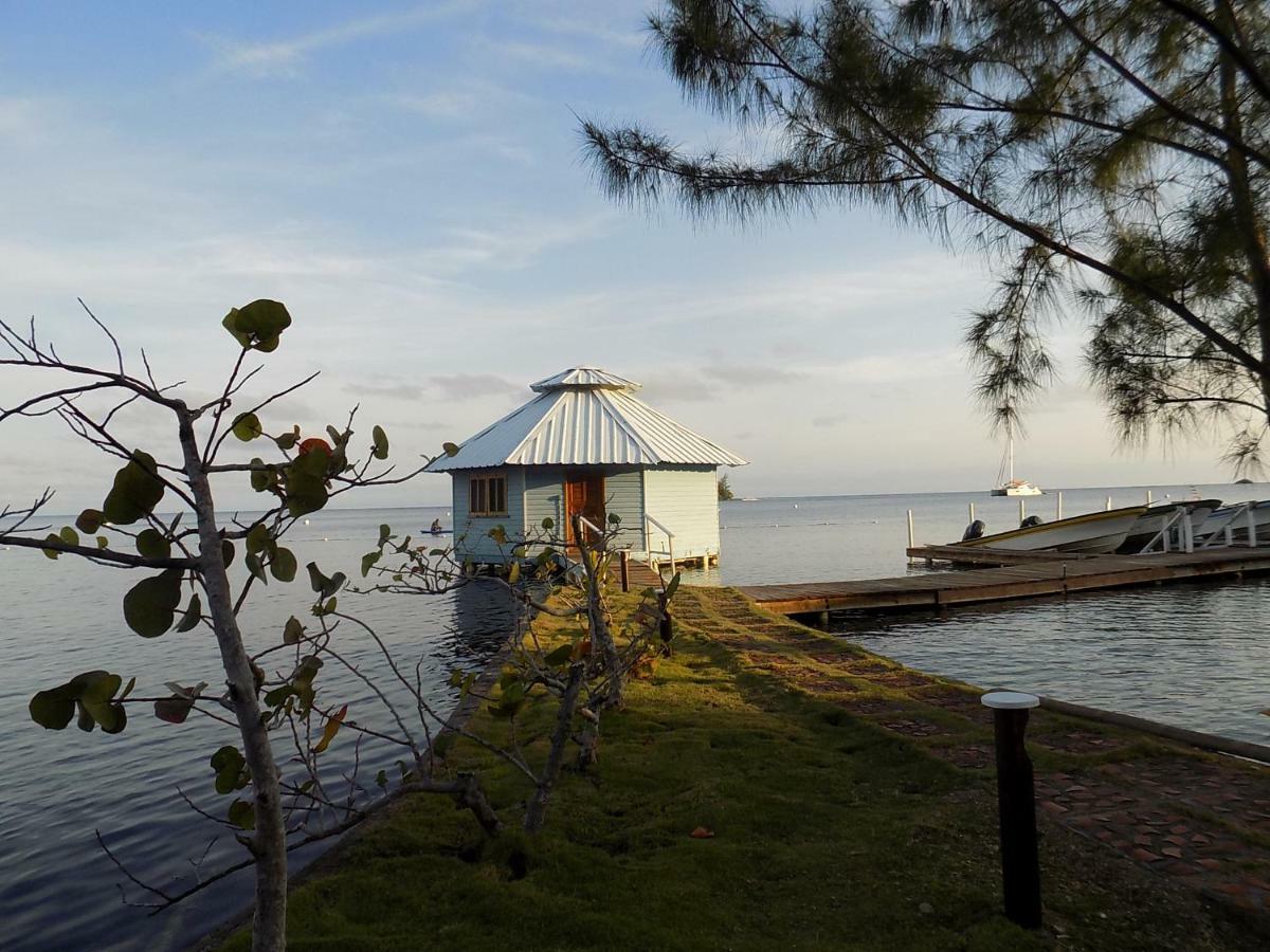 Mango Creek Lodge Port Royal Dış mekan fotoğraf