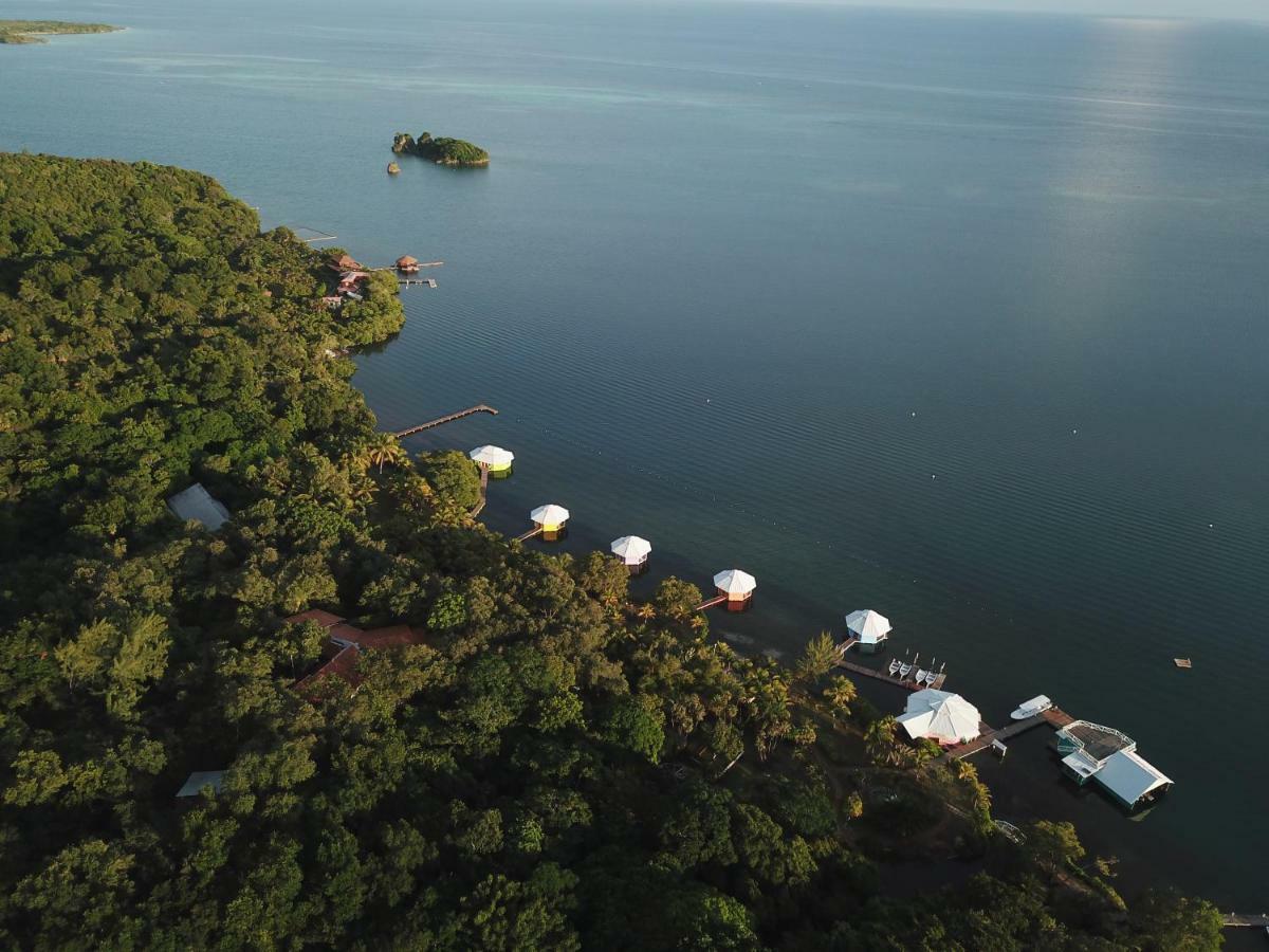 Mango Creek Lodge Port Royal Dış mekan fotoğraf