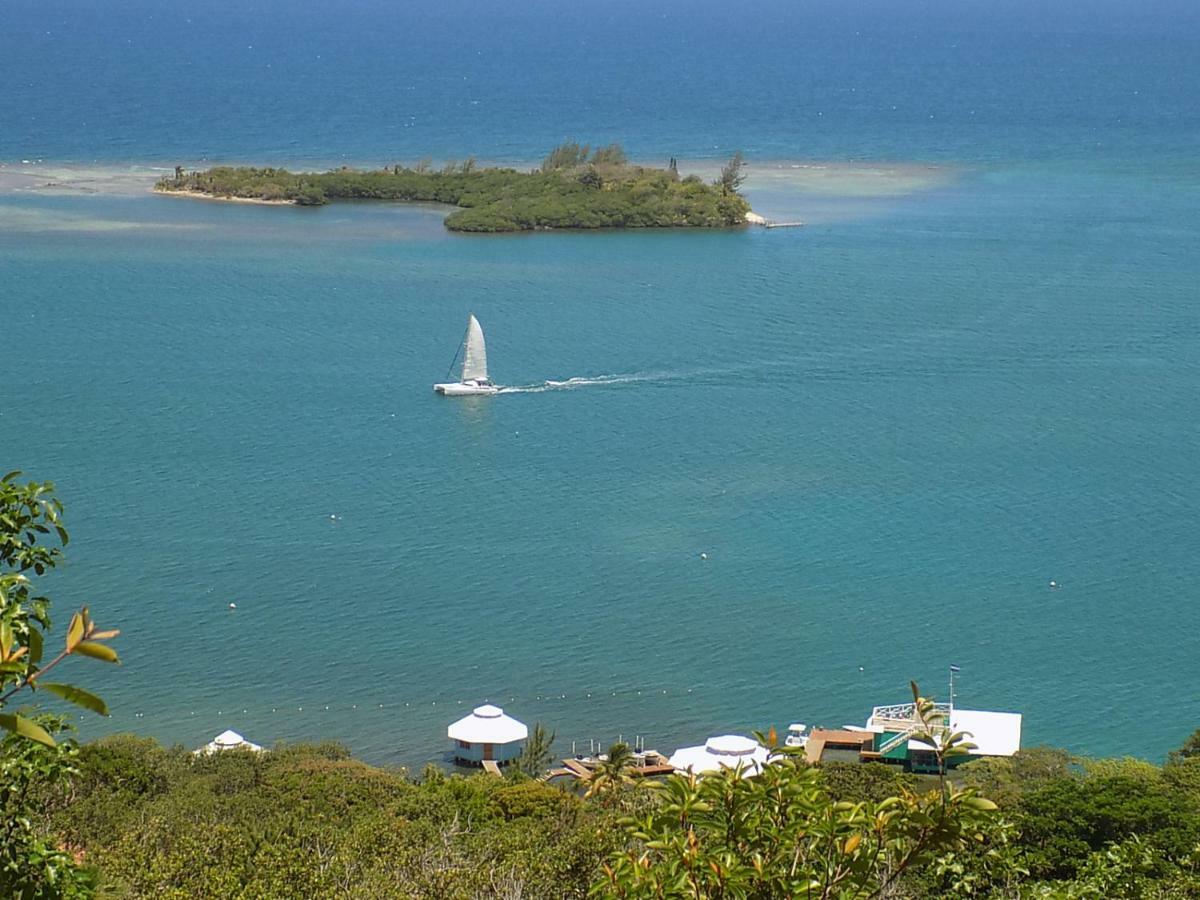 Mango Creek Lodge Port Royal Dış mekan fotoğraf
